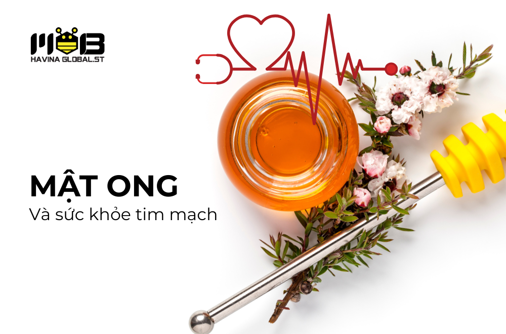 Mật ong và sức khỏe tim mạch: Góc nhìn từ các nghiên cứu lâm sàng
