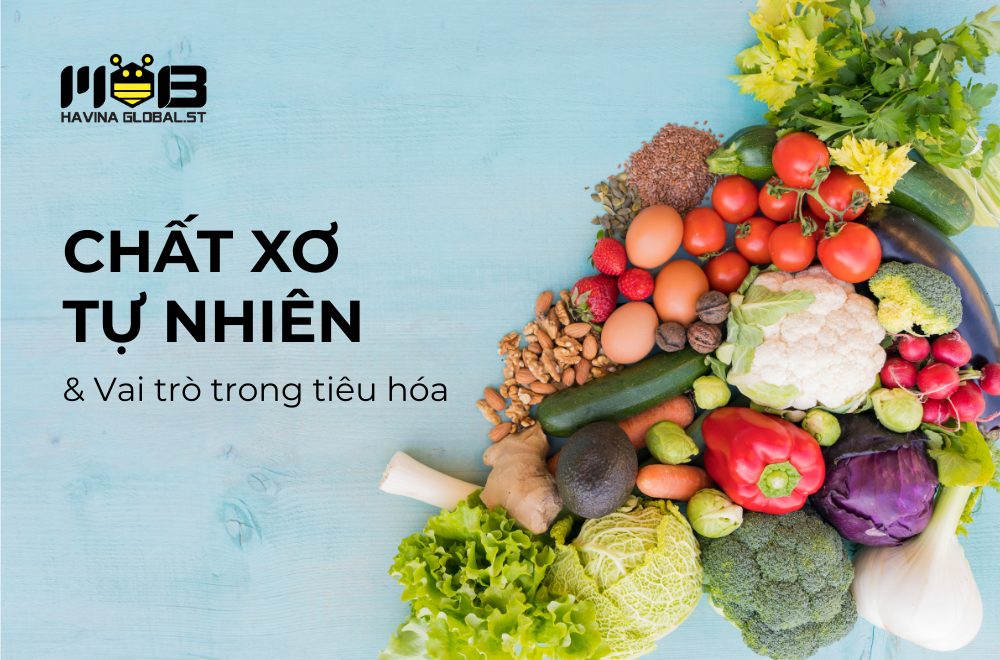 Chất xơ tự nhiên & vai trò trong tiêu hóa - Bí quyết từ thảo mộc
