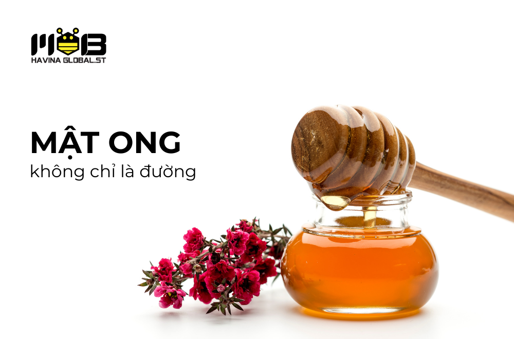 Mật ong không chỉ là đường: Những nghiên cứu mới về tác dụng kháng khuẩn tự nhiên