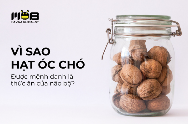 Vì sao hạt óc chó được mệnh danh là thức ăn của não bộ?
