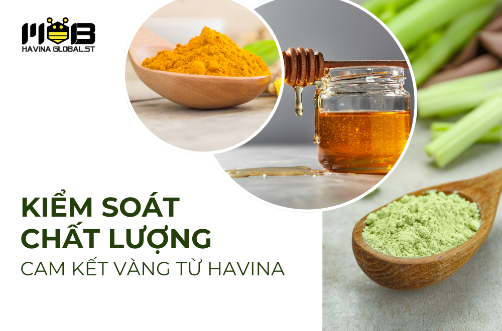 Kiểm soát chất lượng – Cam kết vàng từ HAVINA