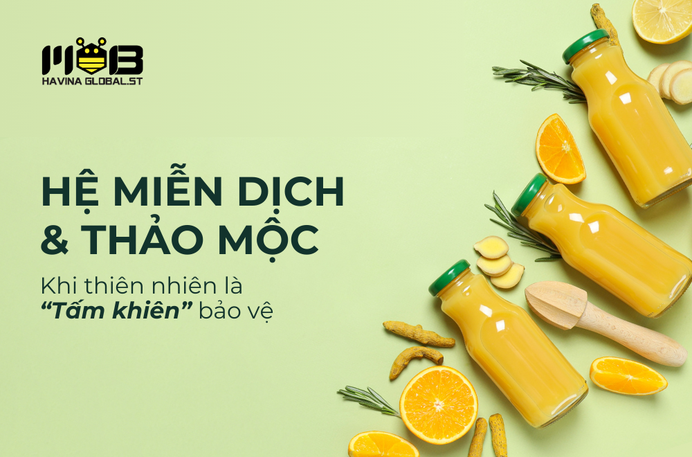 Thảo mộc & hệ miễn dịch - Khi thiên nhiên là “Tấm khiên” bảo vệ
