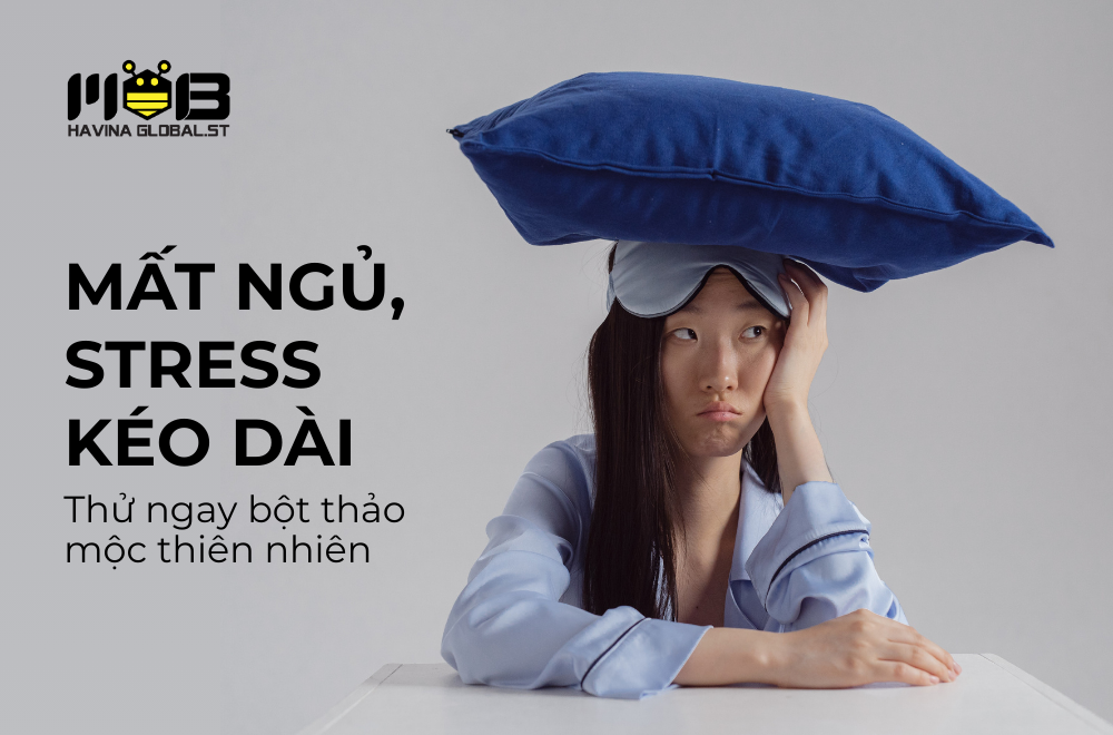 Mất ngủ, stress kéo dài? Thử ngay bột thảo mộc thiên nhiên