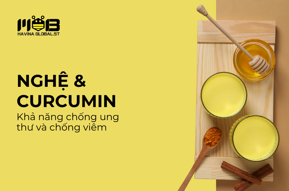 Nghệ và Curcumin: Nghiên cứu mới nhất về khả năng chống viêm và tiềm năng phòng ngừa ung thư