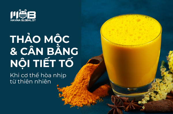 Thảo mộc & cân bằng nội tiết tố - Khi cơ thể được hòa nhịp từ thiên nhiên