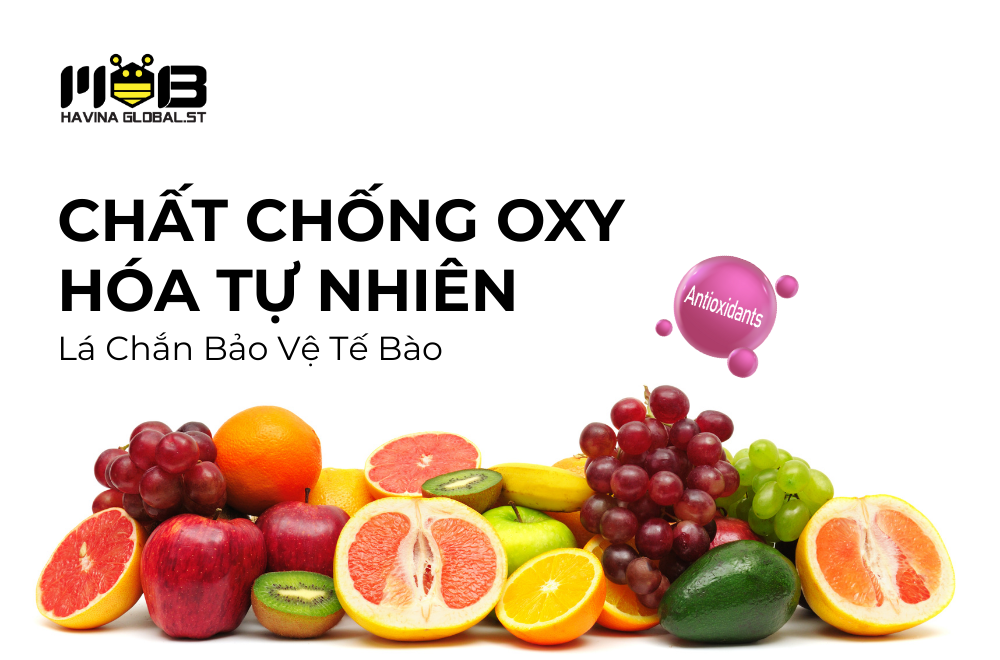 Chất chống oxy hóa tự nhiên - Lá chắn bảo vệ tế bào, duy trì sức khỏe bền vững