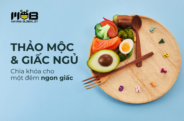 Thảo mộc & giấc ngủ - Chìa khóa cho một đêm ngon giấc