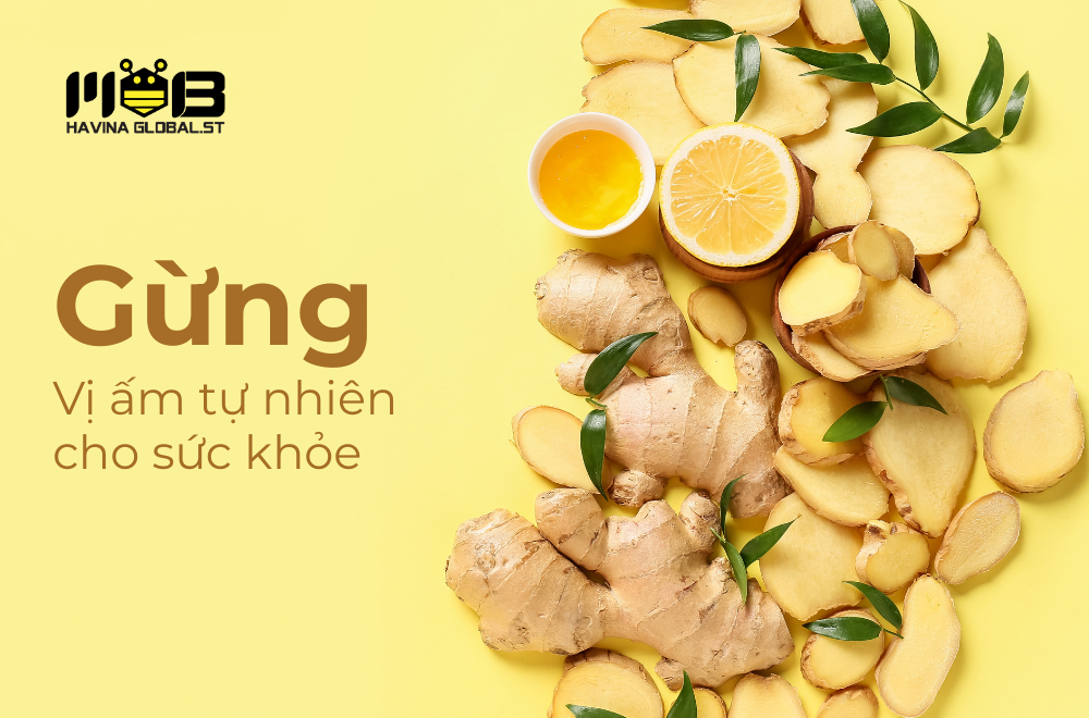 Công dụng của gừng – Vị ấm tự nhiên cho sức khỏe