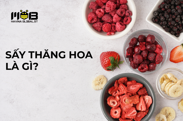 Công nghệ sấy thăng hoa - Giữ trọn giá trị tự nhiên