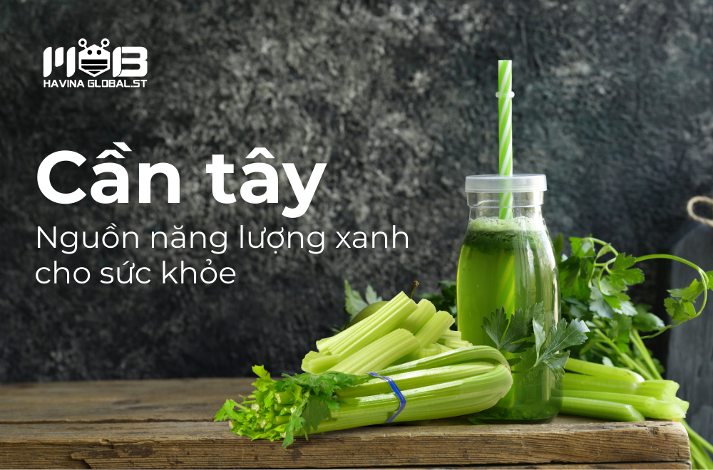 Công dụng của cần tây – Nguồn năng lượng xanh trong sản phẩm HAVINA