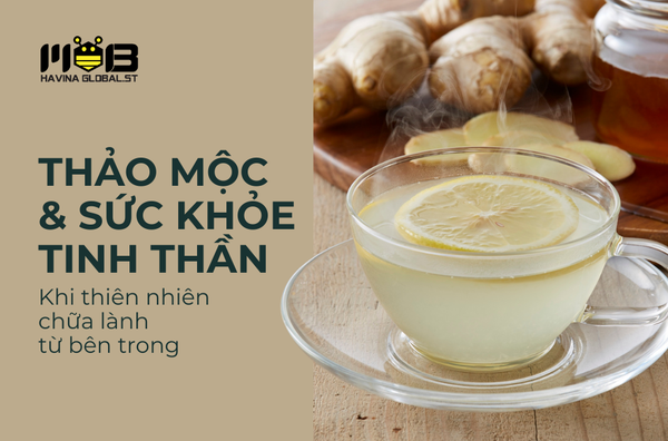 Thảo mộc & sức khỏe tinh thần - Khi thiên nhiên chữa lành từ bên trong