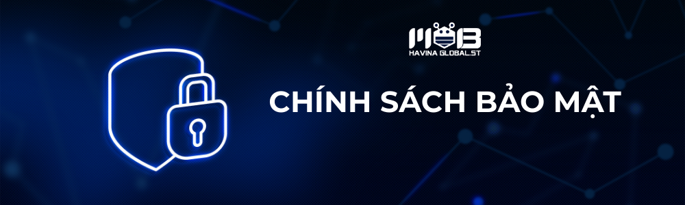Chính sách bảo mật của HAVINA GLOBAL.ST