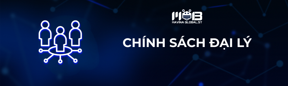Chính sách đại lý Havina Global.ST - Hợp tác cùng phát triển
