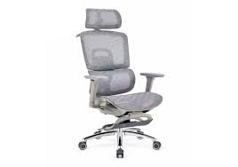 Ghế Công Thái Học