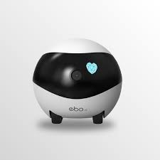 Robot Enabot