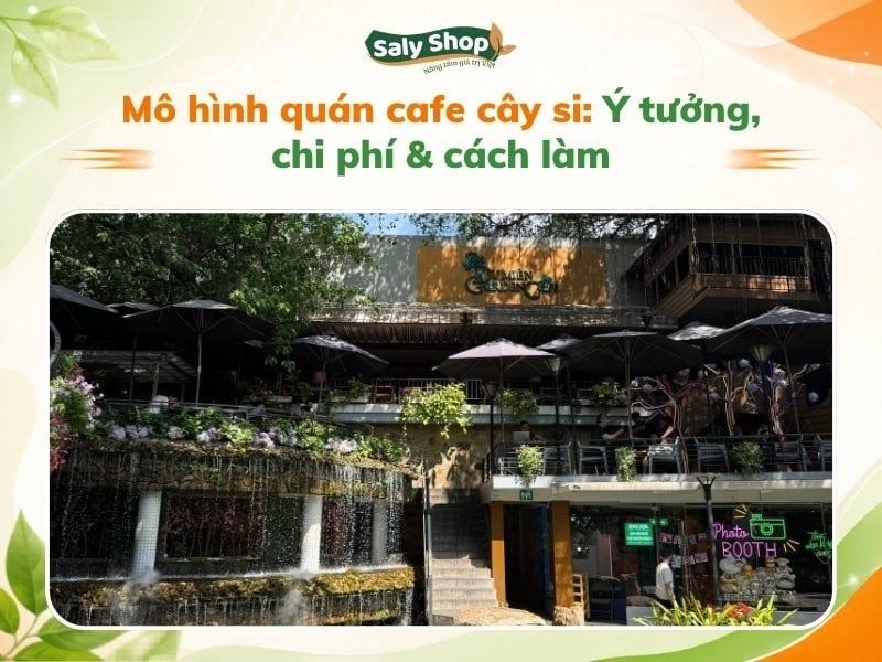 Mô hình quán cafe cây si: Ý tưởng, chi phí & cách làm
