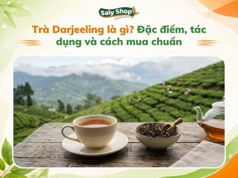 Trà Darjeeling là gì? Đặc điểm, tác dụng và cách mua chuẩn