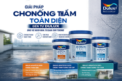 Chống Thấm Nhà Hiệu Quả Với Dulux – Giải Pháp Chống Thấm Sàn Và Chống Thấm Tường Toàn Diện