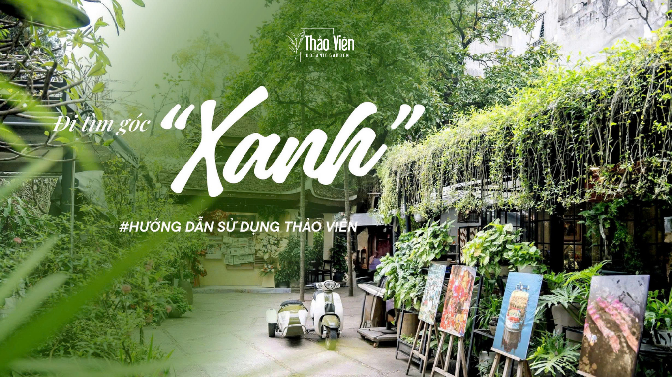 Đi tìm góc xanh Thảo Viên tìm về những khoảng lặng giữa phố