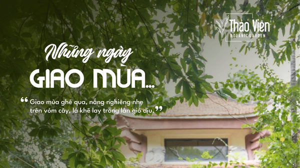 Thảo Viên những ngày giao mùa