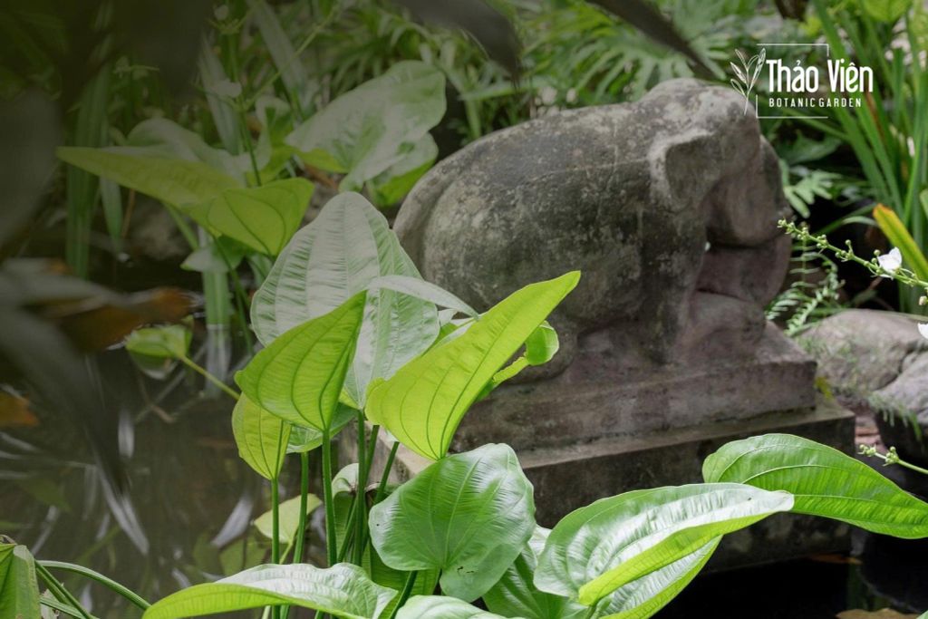 Thảo Viên giao mùa