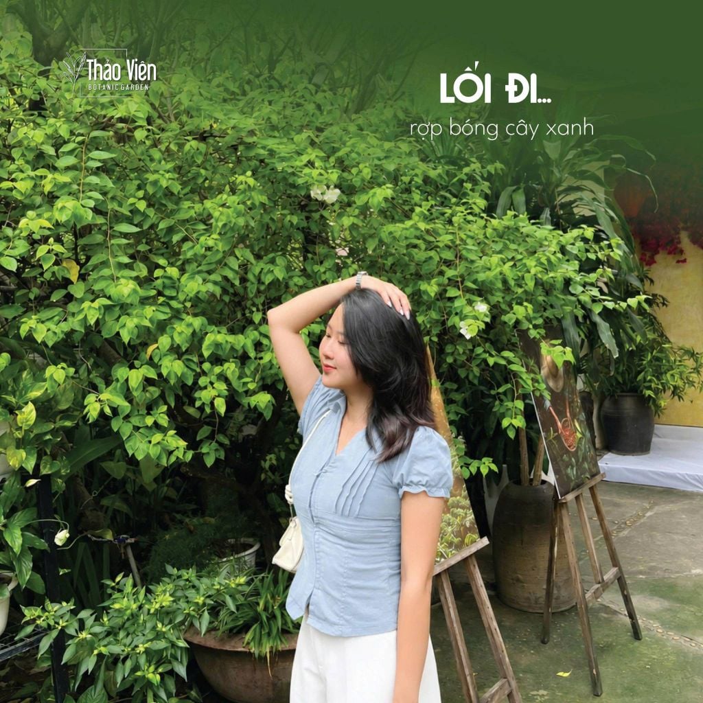 Check - in lối đi Thảo Viên