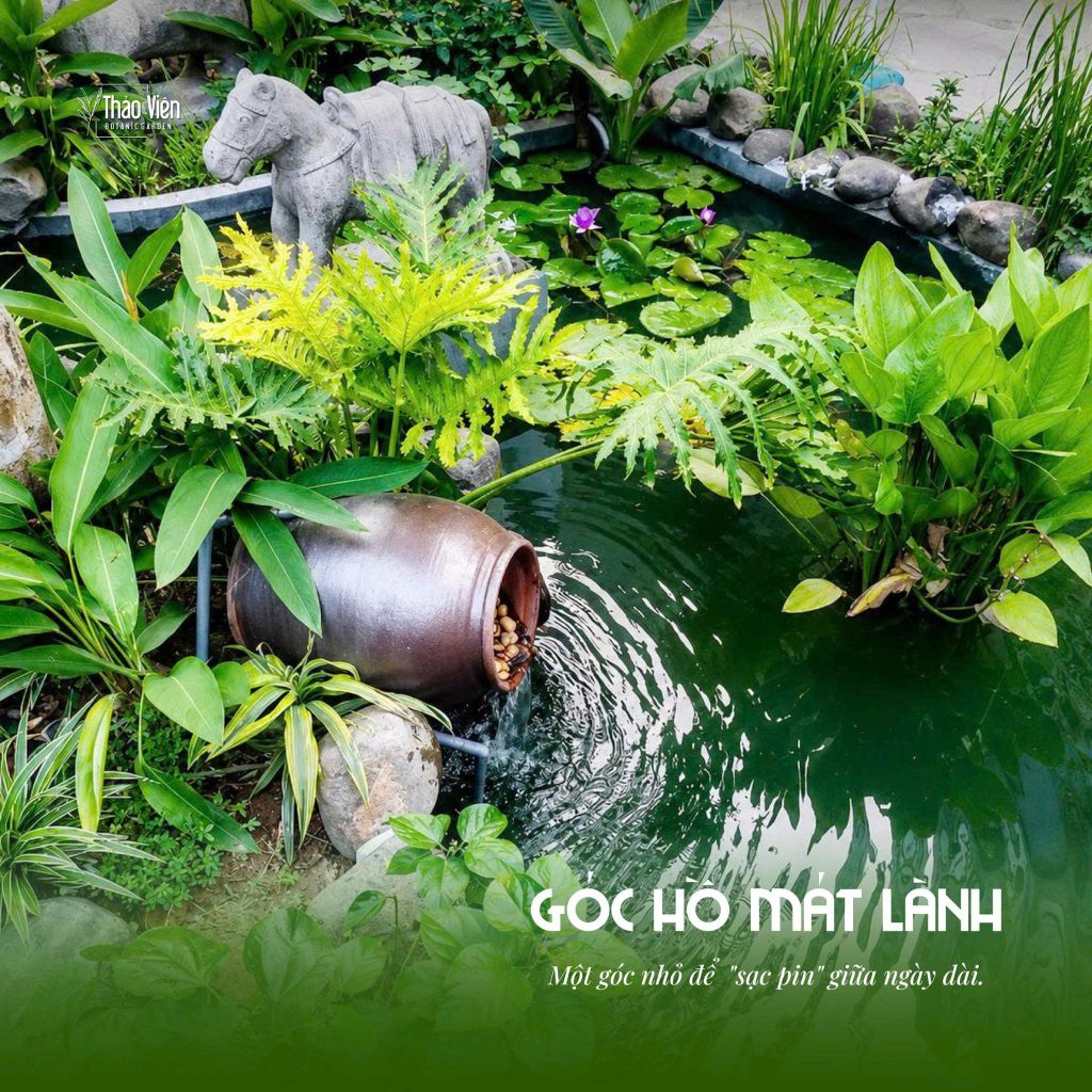 Cây cổ thụ Thảo Viên Hoàng Cầu
