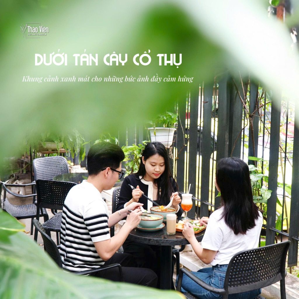 Cây cổ thụ Thảo Viên Hoàng Cầu