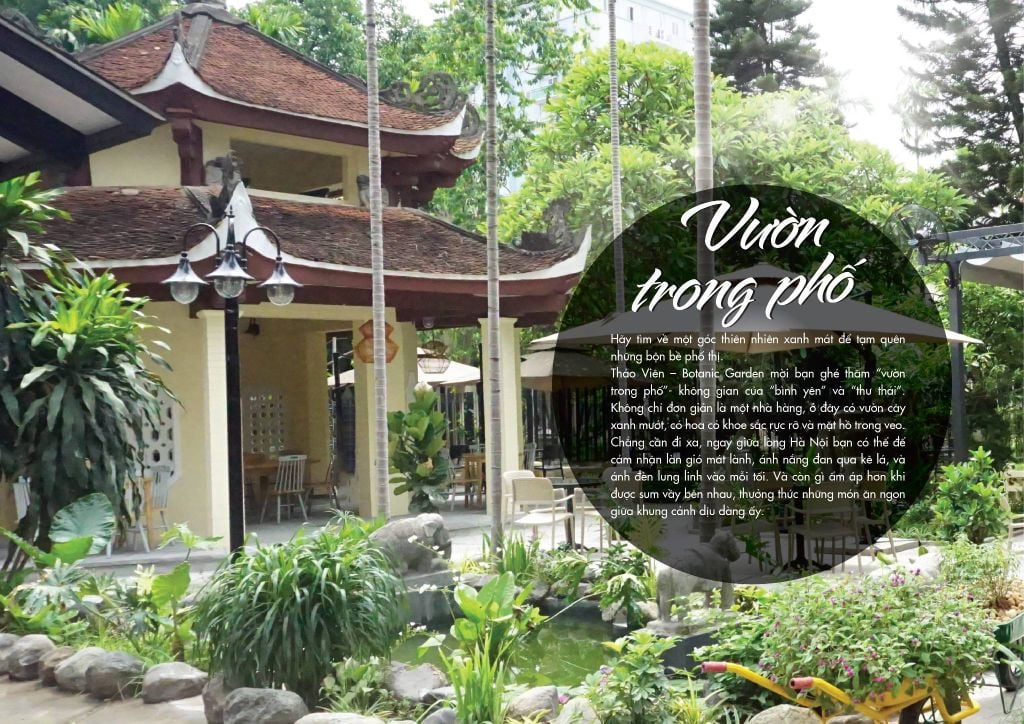 menu-thao-vien
