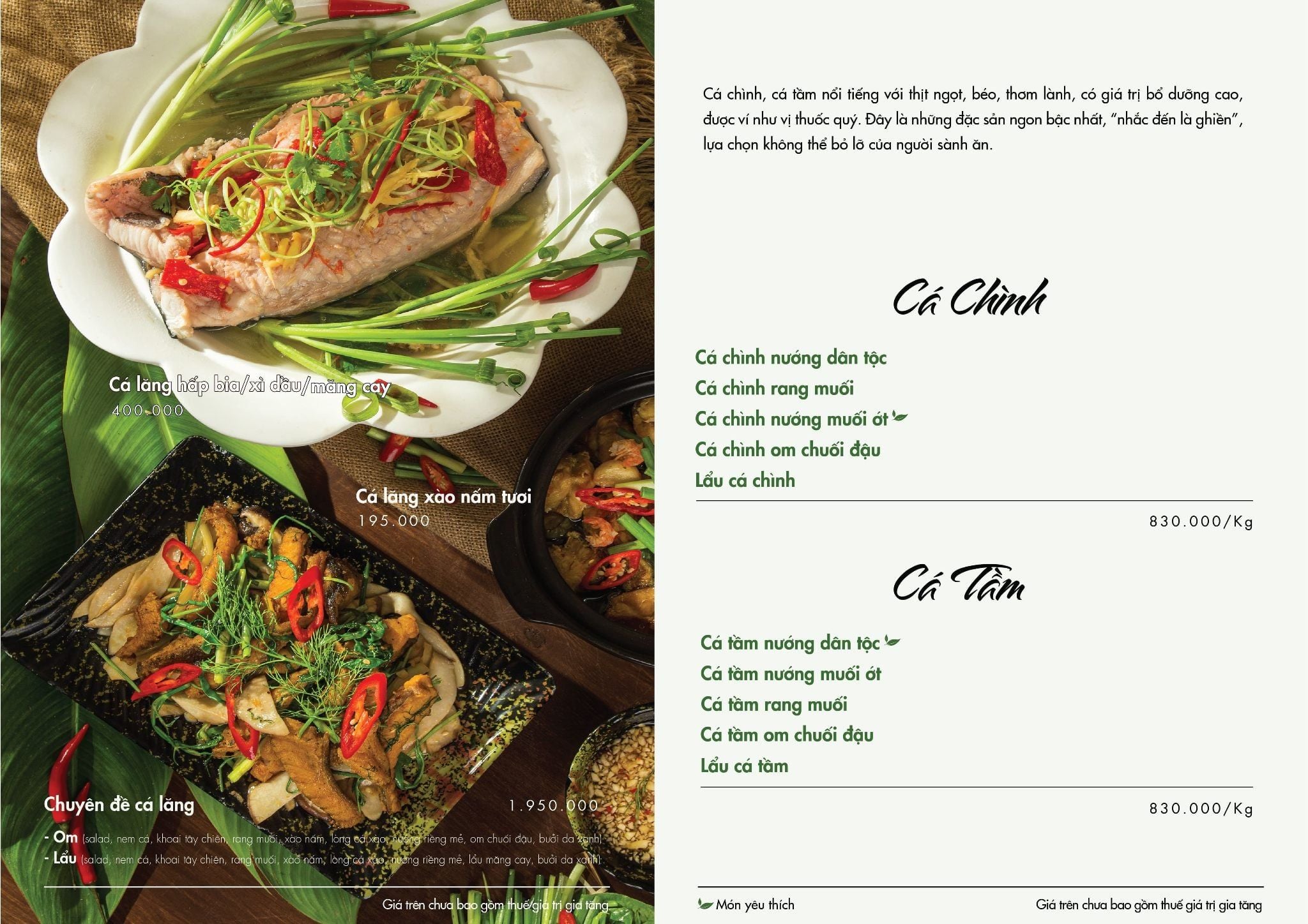 menu-thao-vien-ca-trinh