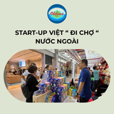 Start-up Việt 