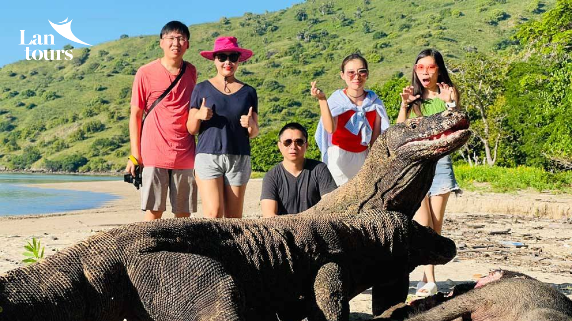 Indonesia - Borobudur, đảo rồng Komodo, núi lửa Bromo