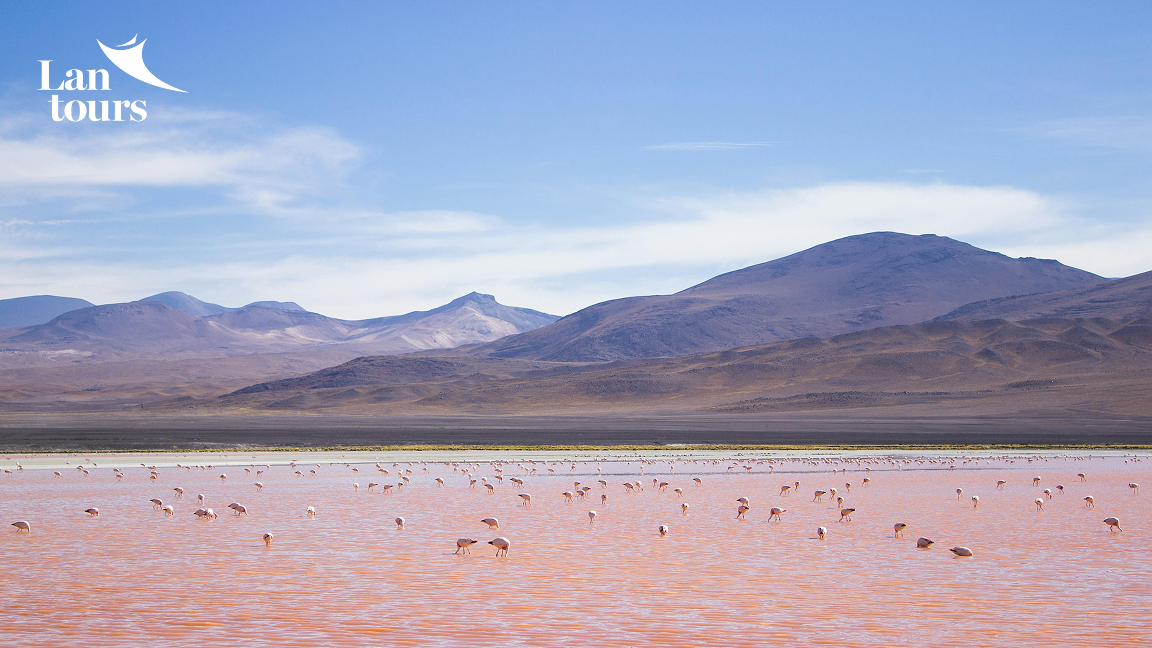 KHÁM PHÁ DUYÊN HẢI NAM MỸ với PERU – BOLIVIA – CHILE