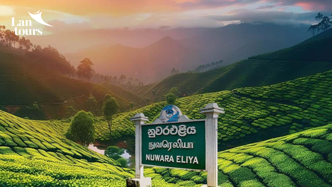 Khám phá Sri Lanka - Quốc Đảo Phật Tích Lam