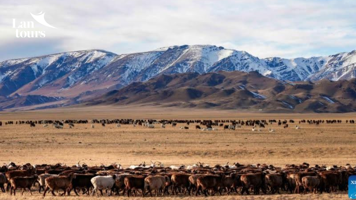 Bắc Tân Cương Mùa Đông