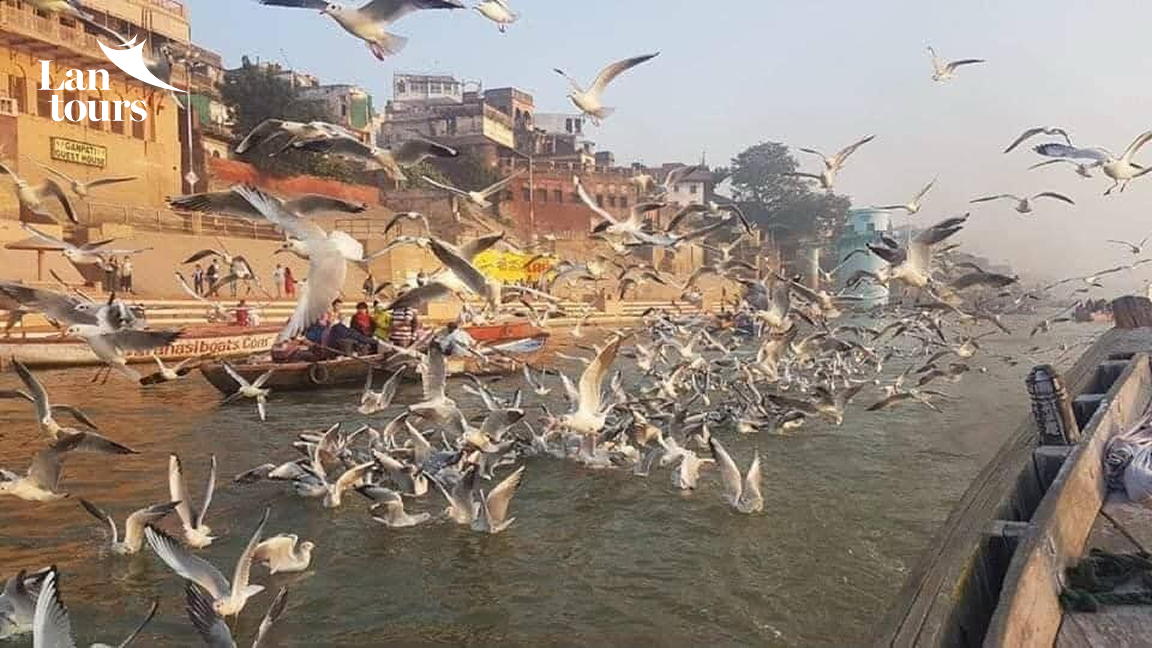 HÀNH HƯƠNG ẤN ĐỘ - NEPAL (TỨ ĐỘNG TÂM)