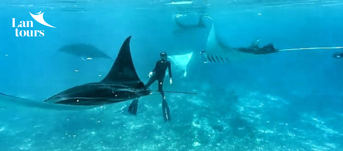 Indonesia - Borobudur, đảo rồng Komodo, núi lửa Bromo