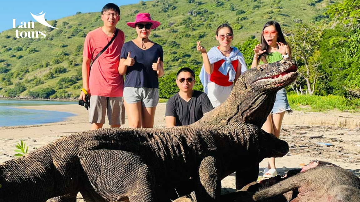 Indonesia - Borobudur, đảo rồng Komodo, núi lửa Bromo