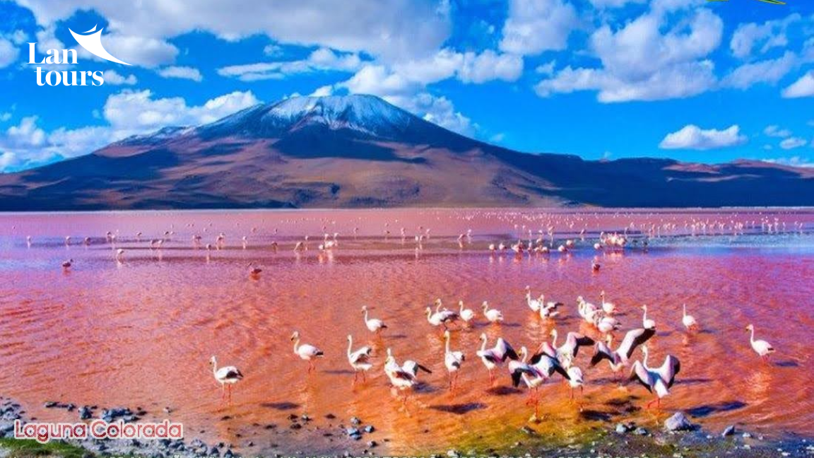 KHÁM PHÁ DUYÊN HẢI NAM MỸ với PERU – BOLIVIA – CHILE