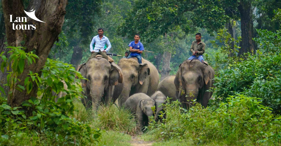 NEPAL - ẤN TƯỢNG KATHMANDU _ CHECK IN HIMALAYA
