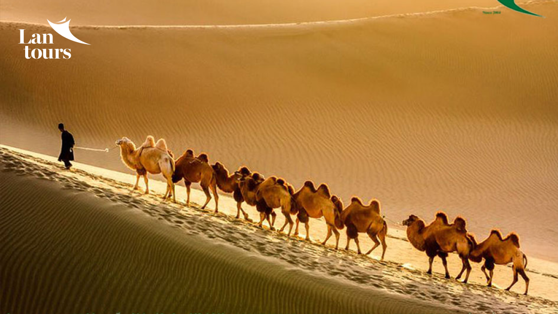 Nhất Thống Cương Hồ - Nam Bắc Tân Cương