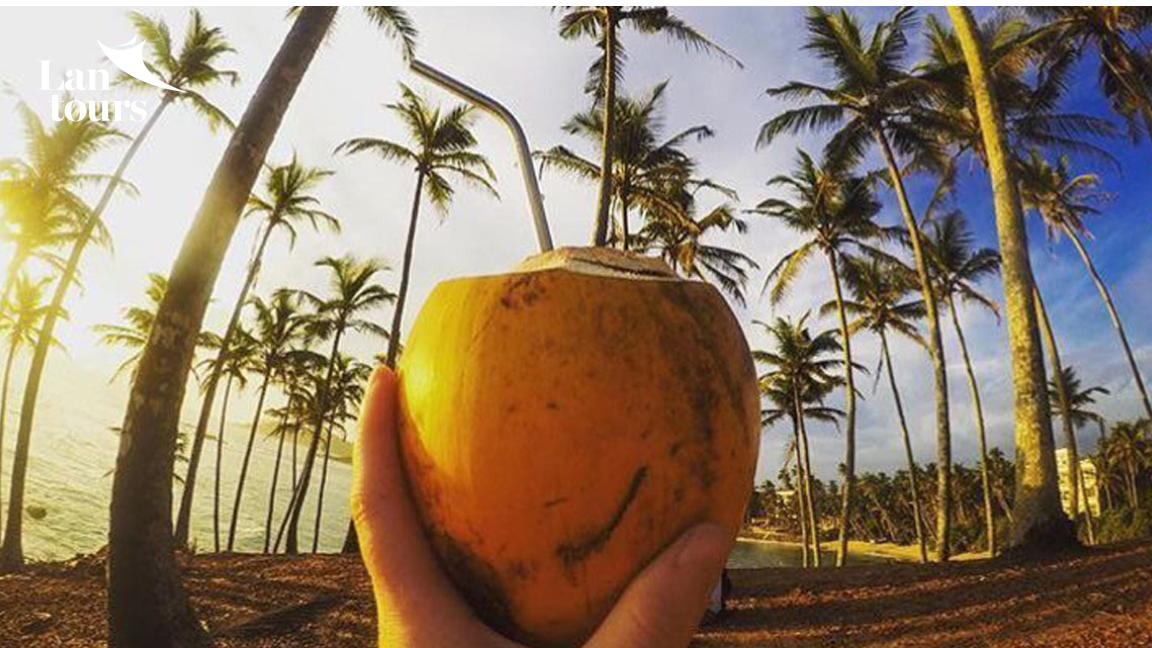 Khám phá Sri Lanka - Quốc Đảo Phật Tích Lam