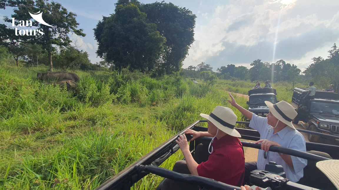 Khám phá Sri Lanka - Quốc Đảo Phật Tích Lam
