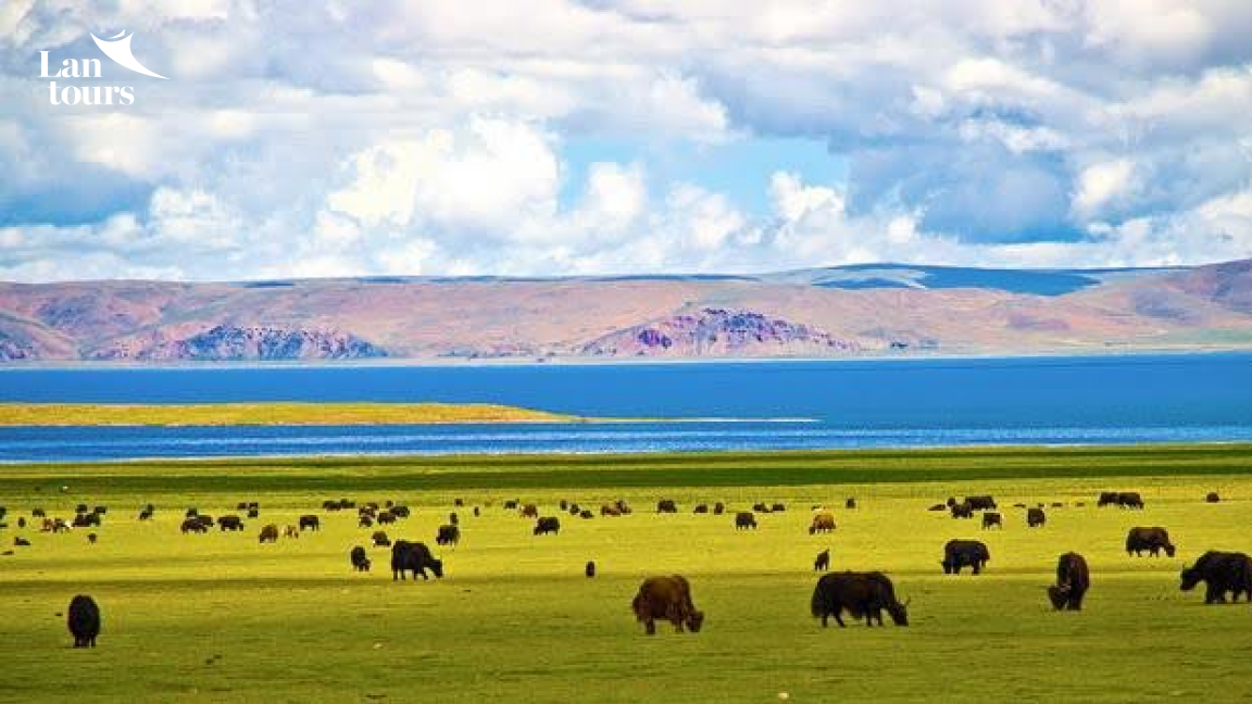 Tây Tạng - Đường Tàu Thanh Tạng