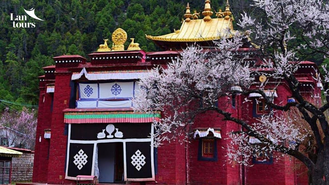 Tây Tạng - Sông Băng Lai Cổ - Lâm Chi