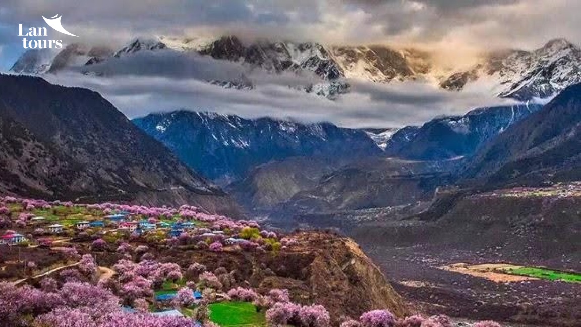 Tây Tạng - Sông Băng Lai Cổ - Lâm Chi