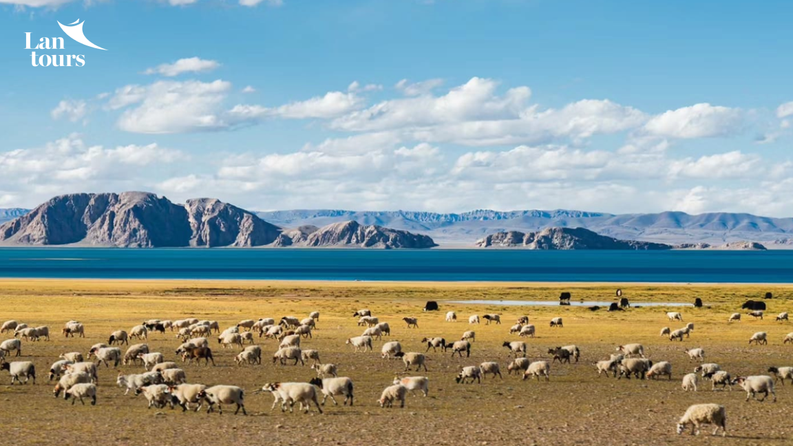 Tây Tạng - Kora Kailash