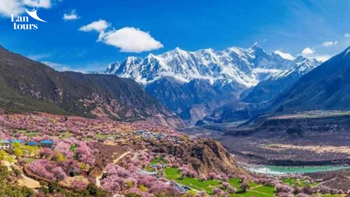 Tây Tạng - Sông Băng Lai Cổ - Lâm Chi