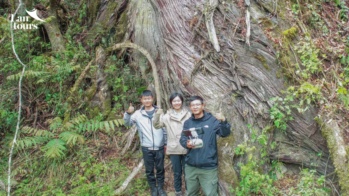 Tây Tạng - Sông Băng Lai Cổ - Lâm Chi