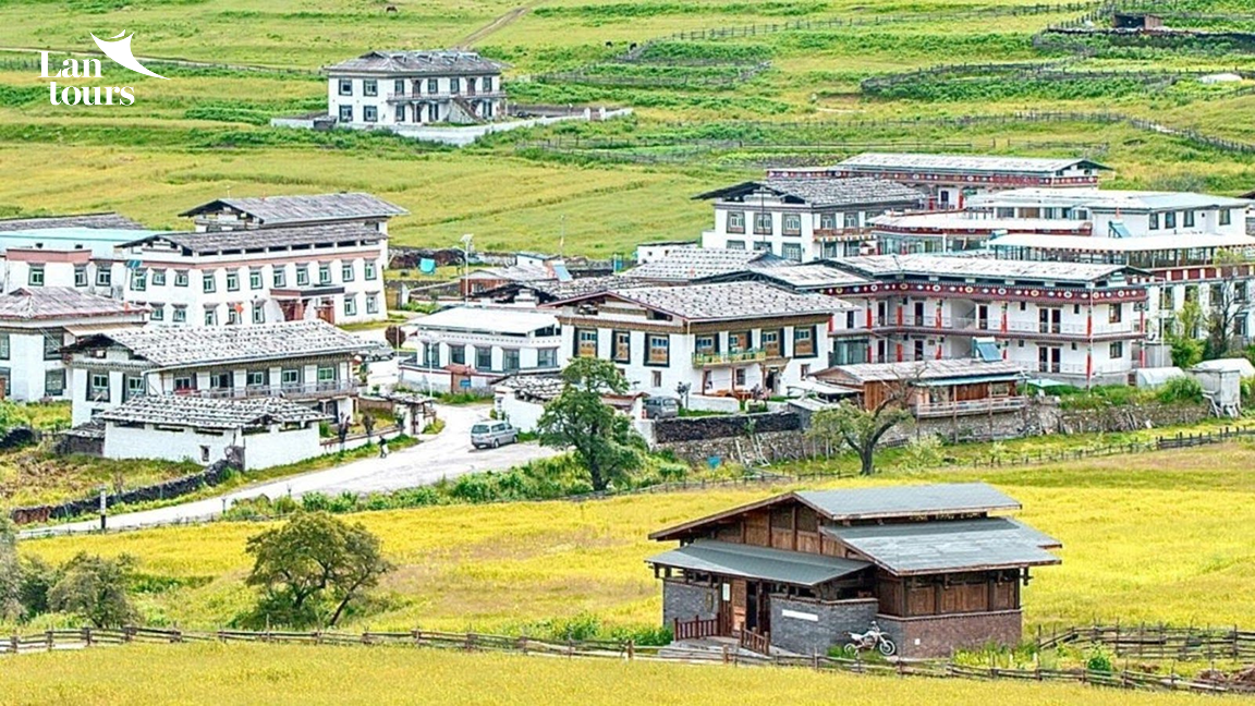 Tây Tạng - Sông Băng Lai Cổ - Lâm Chi